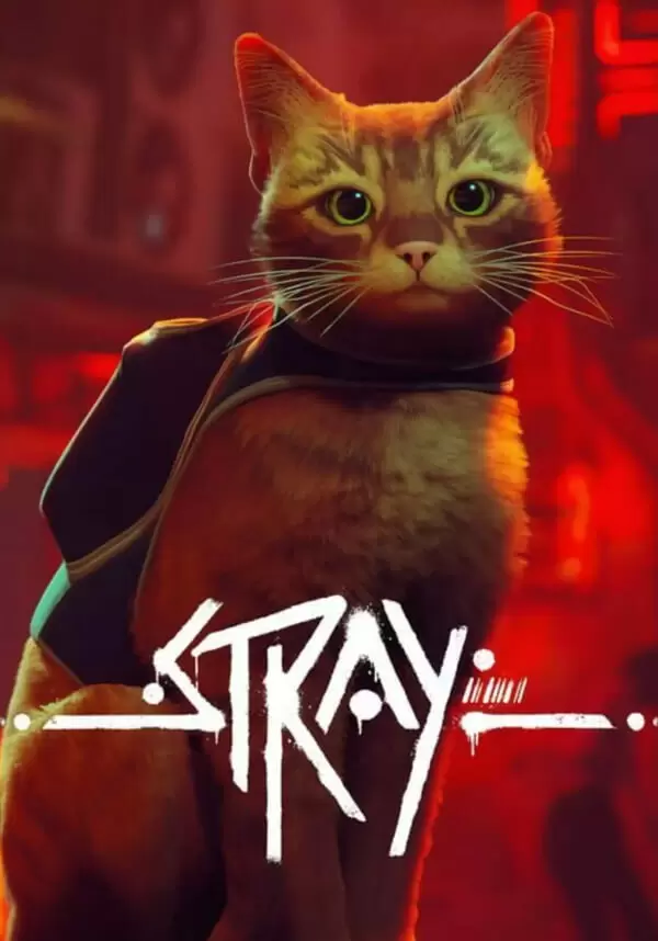 

Stray